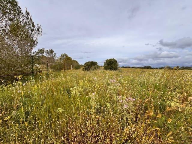 Terreno en venta en Pla de Mallorca, Baleares