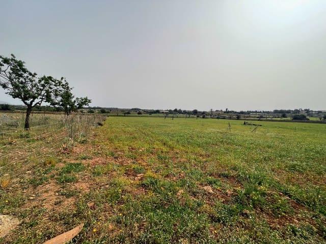 Terreno en venta en Santa Margalida, Pla de Mallorca