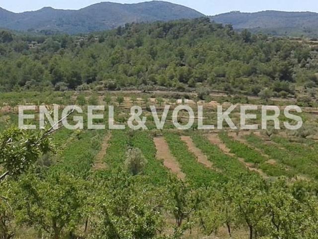 Terreno en venta en Peñalba, l'Alt Palància