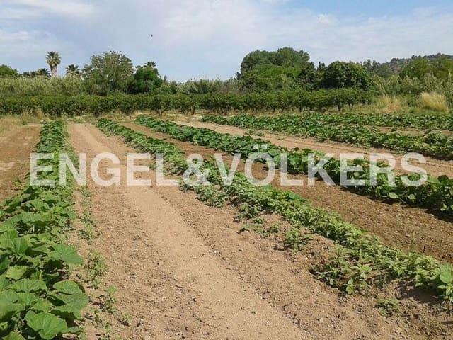 Terreno en venta en Peñalba, l'Alt Palància