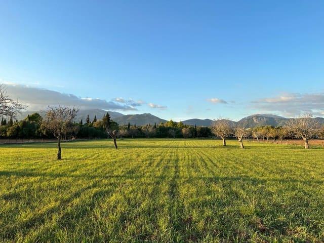 Terreno en venta en Selva, Camarata Terreno en venta en Selva, Camarata
