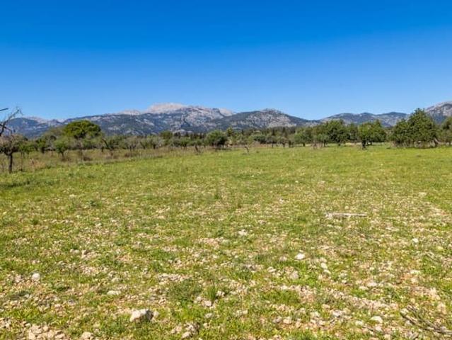 Terreno en venta en Caimari, Raiguer