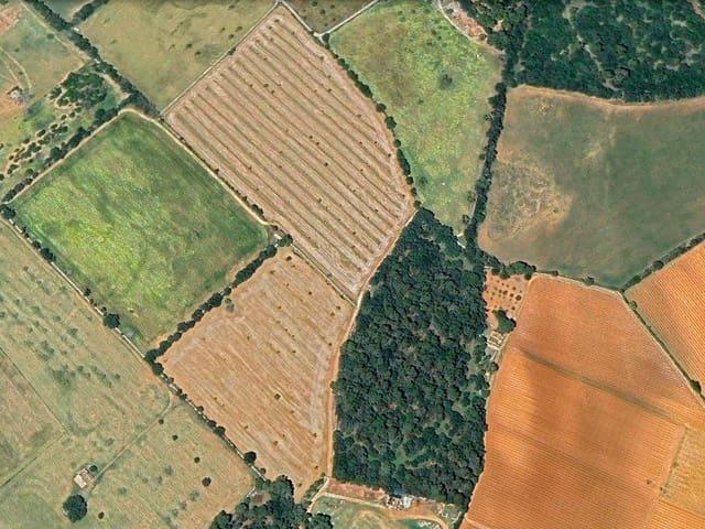 Terreno en venta en Biniali, Pla de Mallorca