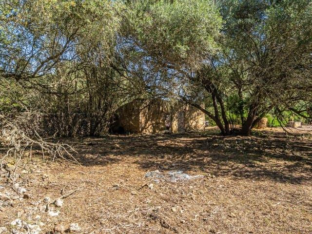 Terreno en venta en Biniali, Pla de Mallorca