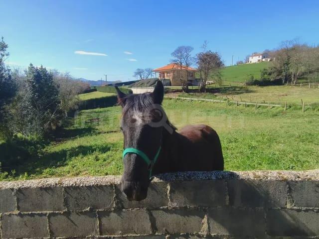 Terreno en venta en La Piñera, Siero