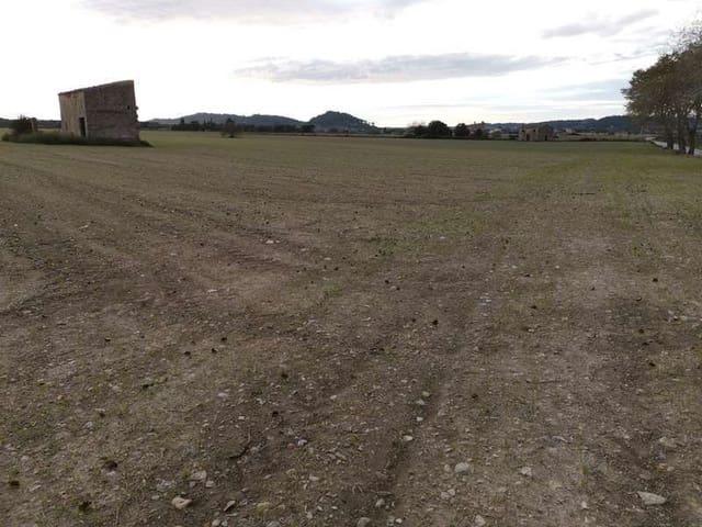 Terreno en venta en Sineu