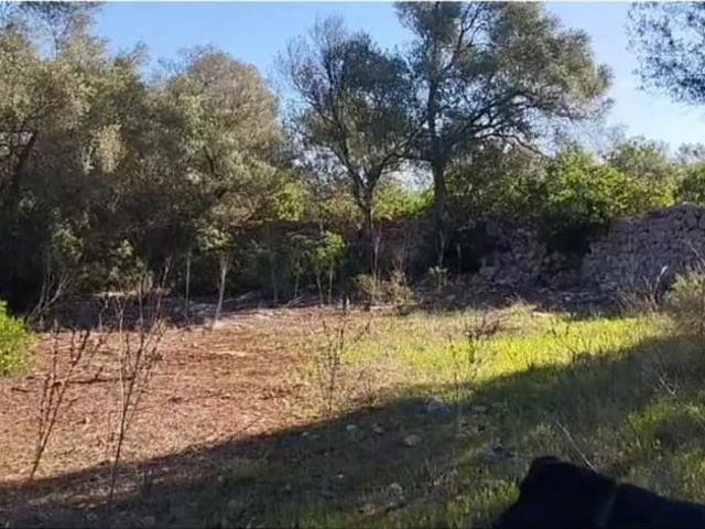 Terreno en venta en Sineu