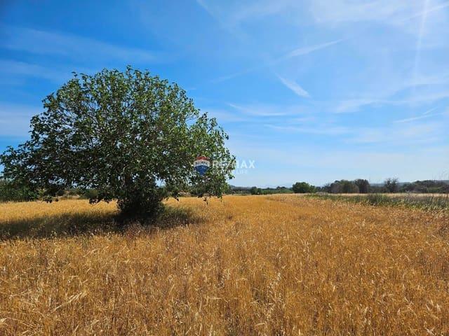 Terreno en venta en Sineu