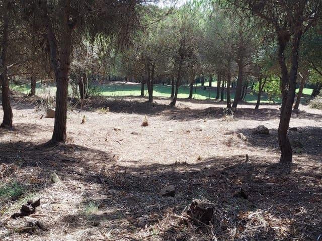 Terreno en venta en Torreguadiaro, Campo de Gibraltar