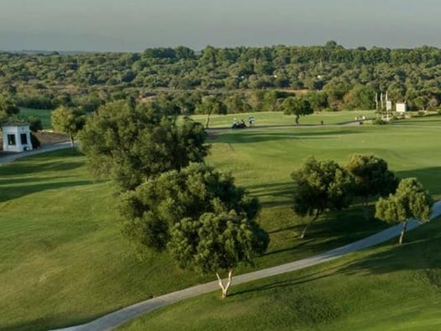 Terreno en venta en Torreguadiaro, Campo de Gibraltar