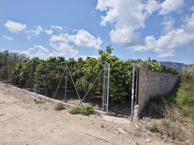 Terreno en venta en la Safor, Valencia