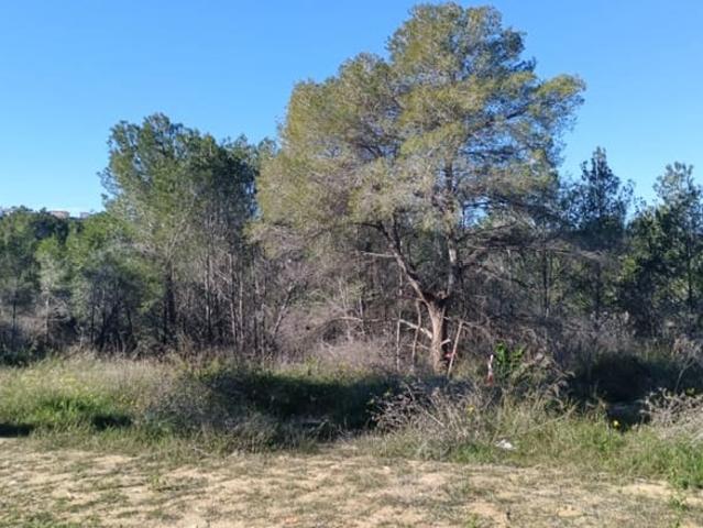 Terreno en venta en la Marina Alta, Valencia