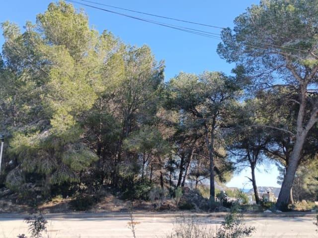 Terreno en venta en la Marina Alta, Valencia