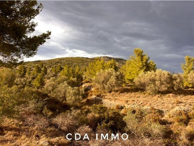 Terreno en venta en l'Alt Maestrat, Valencia