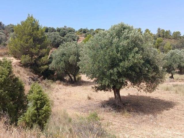 Terreno en venta en Torrevelilla / Torre de Vilella, Teruel