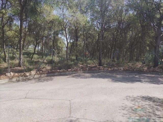 Terreno en venta en Mortí Bajo, Bajo Guadalentín