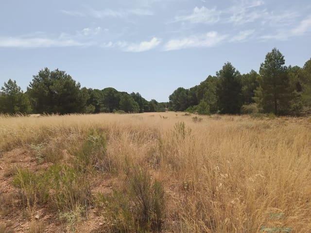 Terreno en venta en Mortí Bajo, Bajo Guadalentín