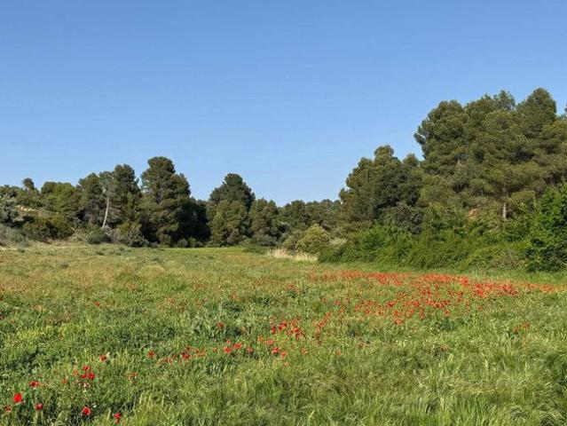 Terreno en venta en Valderrobres / Vall de Roures, Matarraña / Matarranya