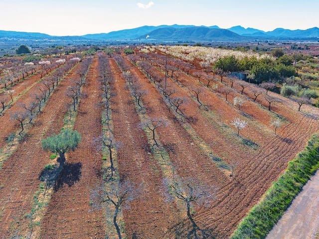 Terreno en venta en Vall D'alba, Valencia