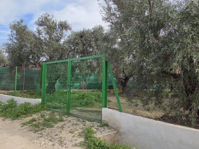 Terreno en venta en el Palamó, Alicante