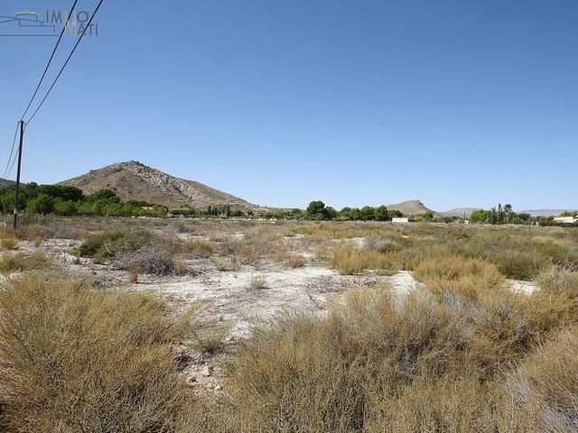Terreno en venta en l'Alt Vinalopó / El Alto Vinalopó, Valencia