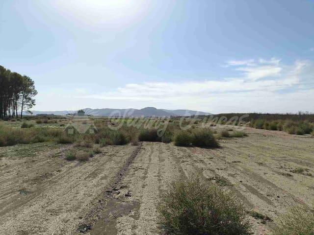 Terreno en venta en Villena