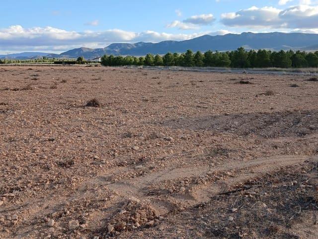 Terreno en venta en Altiplano, Murcia