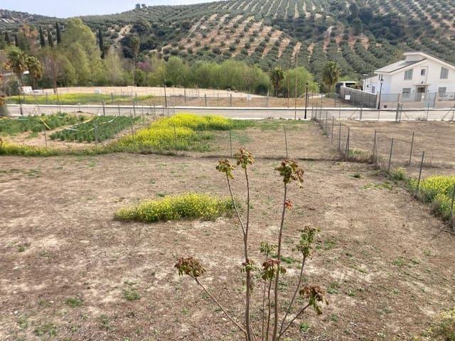 Terreno en venta en Zambra, Rute