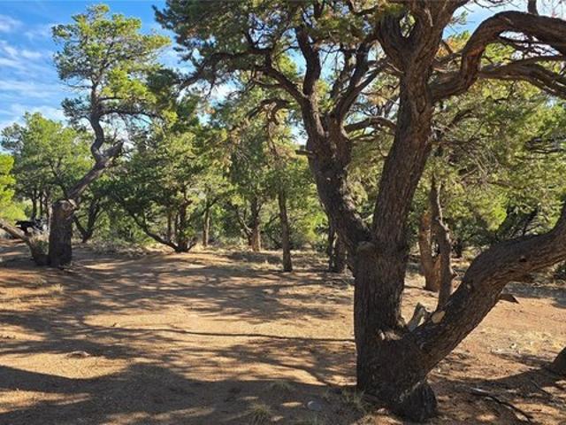 Land for sale in Fort Garland, Costilla County