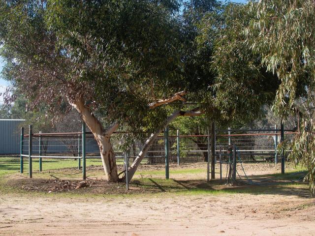 House for sale in Moora, Western Australia