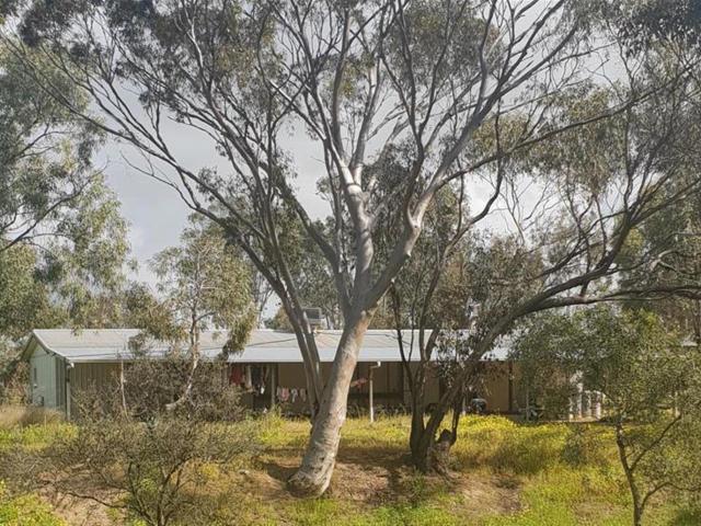 House for sale in Moora, Shire Of Moora