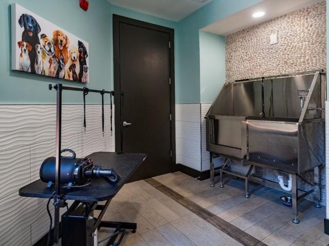 Apartment for rent in Saint Petersburg, Florida