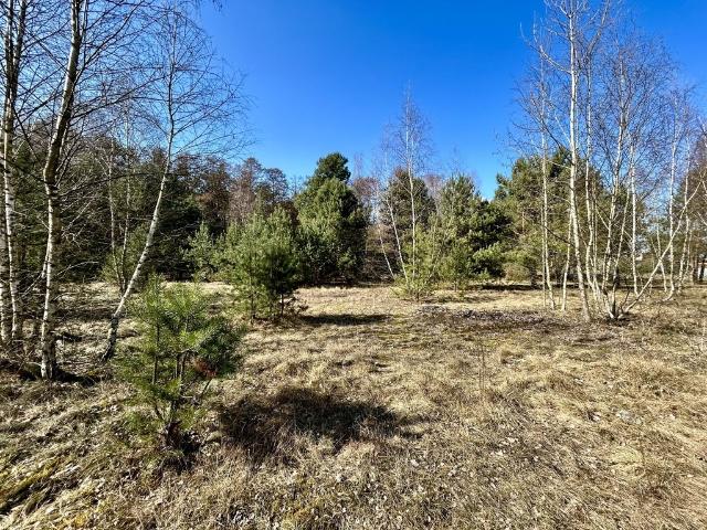 Grunt na sprzedaż w Solec Kujawski, Kujawsko-pomorskie