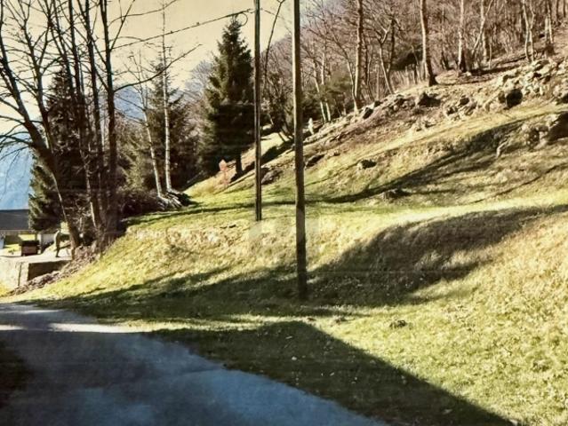 Grundstück kaufen in Quinto, Tessin