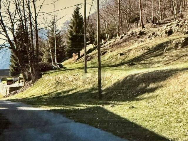 Immobilie kaufen in Quinto, Tessin