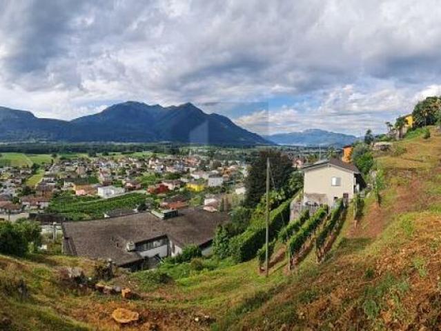 Immobilie kaufen in Cugnasco-Gerra, Tessin