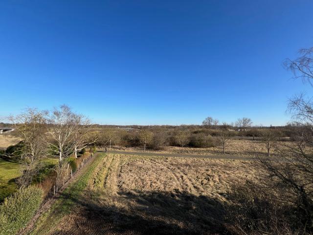 Haus kaufen in Nauheim, Hessen