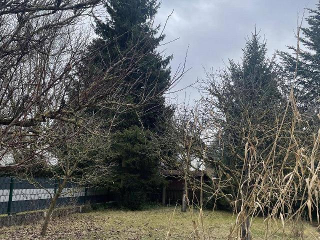 Haus kaufen in Pasching, Oberösterreich