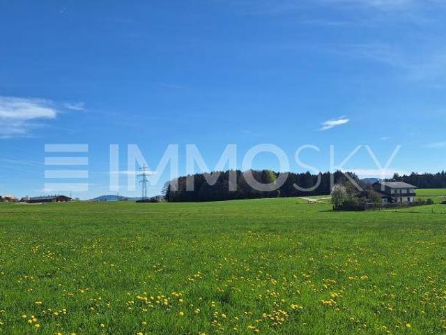 Immobilie kaufen in Seekirchen, Salzburg