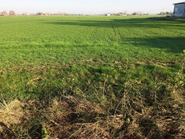 Terreno in vendita a Unione delle Terre d'Argine, Soliera