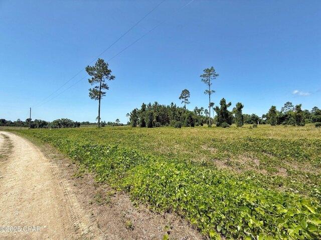Land for sale in Marianna