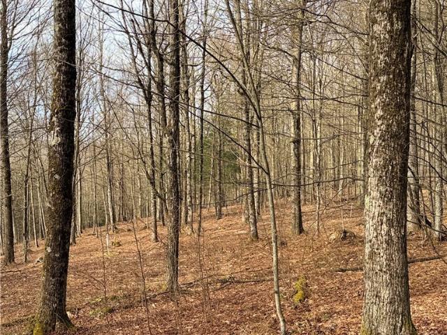 Land for sale in Pitcher, New York