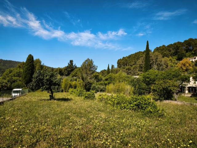 Terrain vente à Arrondissement de Toulon, Solliès-pont