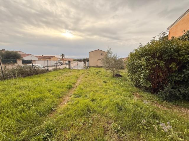 Terrain vente à Arrondissement de Toulon, Solliès-pont