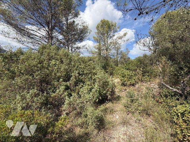 Terrain vente à Solliès-Toucas, Var