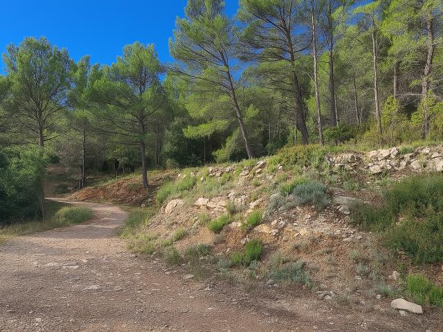 Terrain vente à Arrondissement de Toulon, Solliès-toucas