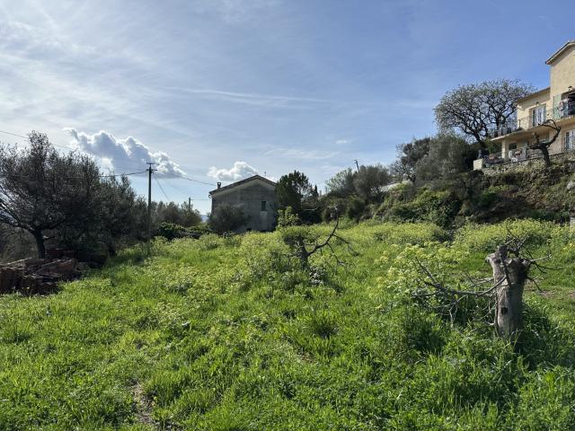 Terrain vente à Arrondissement de Toulon, Solliès-ville