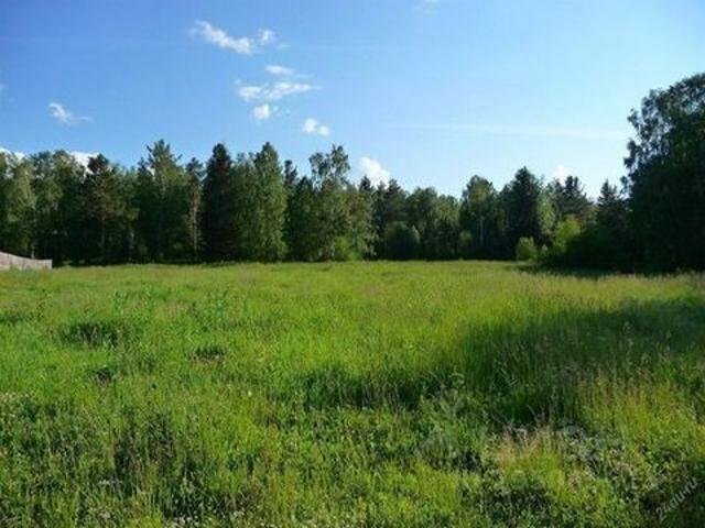 Участок продажа в Ленинградская область