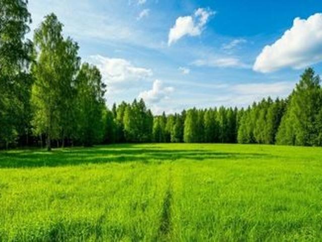 Участок продажа в Ленинградская область