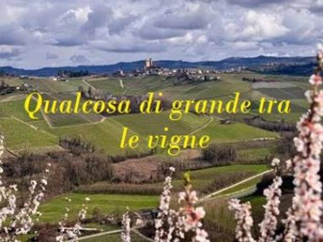 Terreno in vendita a Nizza Monferrato, Asti